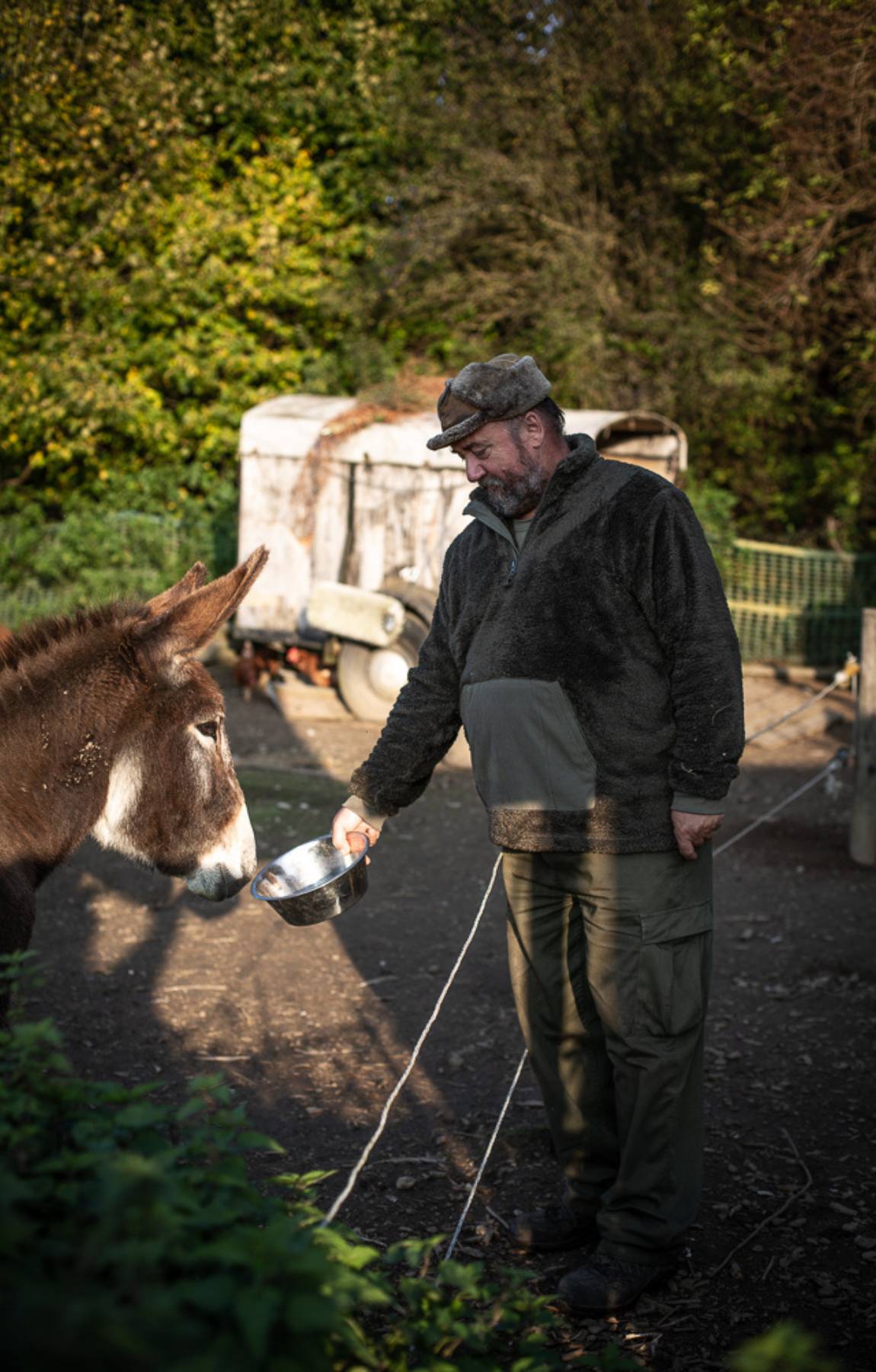 Hobby Landwirt gibt einem Esel ein Leckerchen